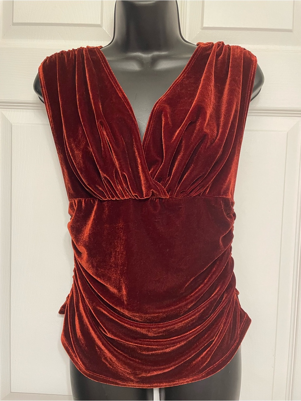 Medium A New Day Velvet Tank Top NWT